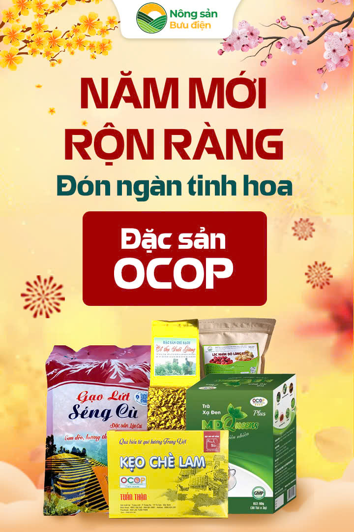 Nông sản OCOP